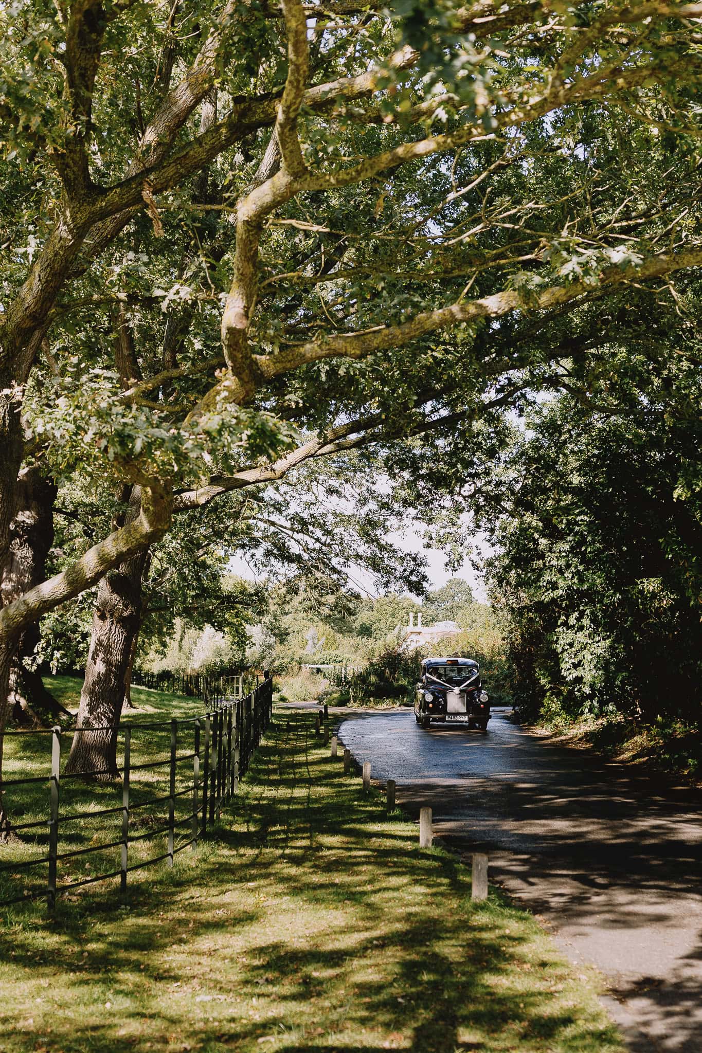 Vintage car driving on a tree-lined road, a beautiful scene from a wedding photography portfolio.