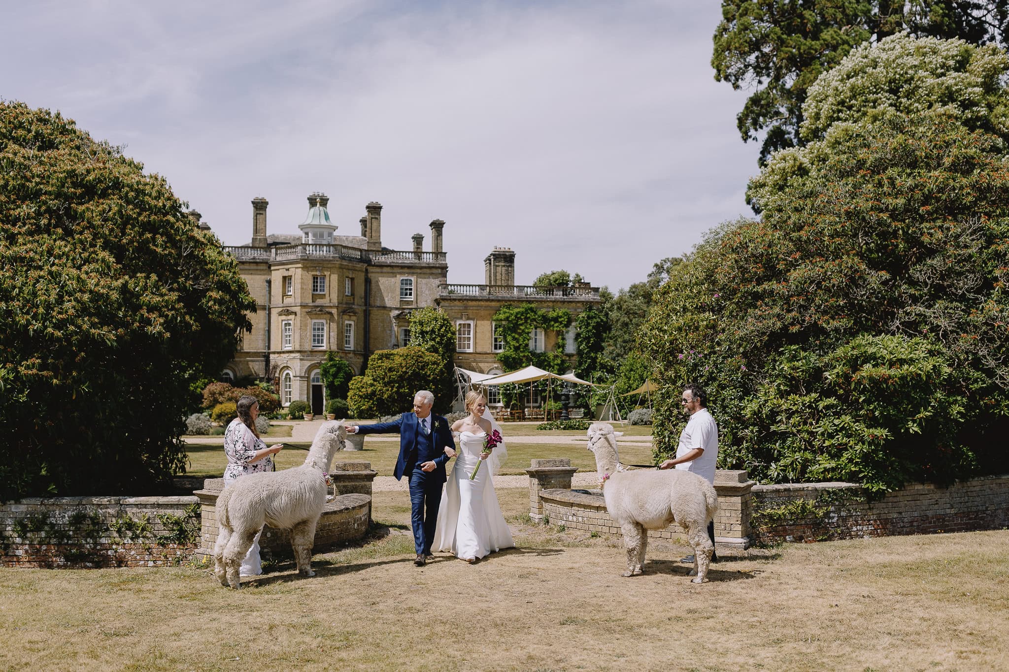 Bride and father walking with alpacas on wedding day, featuring wedding photography portfolio.
